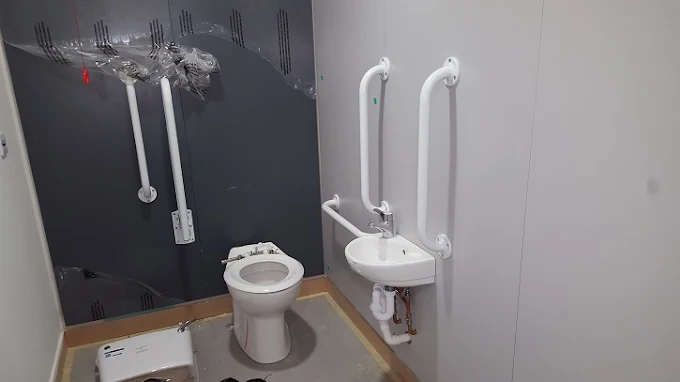 Toilet and sink with hand rails